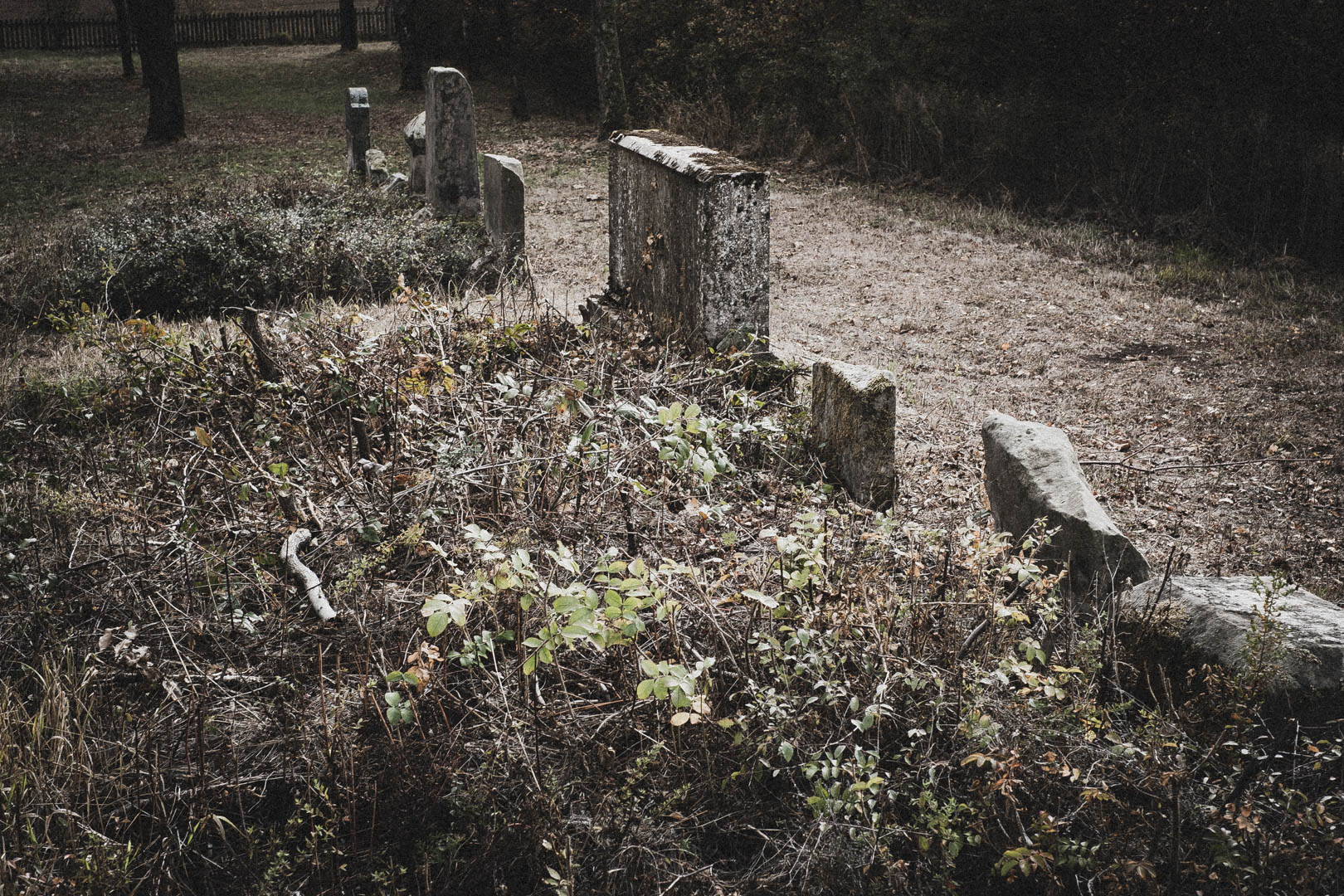 Bühne (Borgentreich), Jüdischer Friedhof